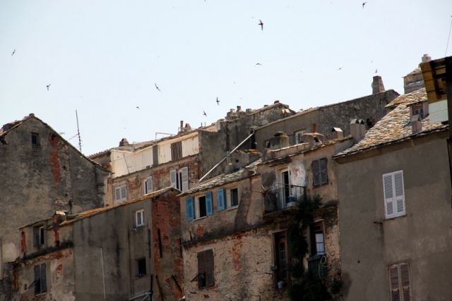 2010 07 04 jeanmarcperfetti.com 025.JPG